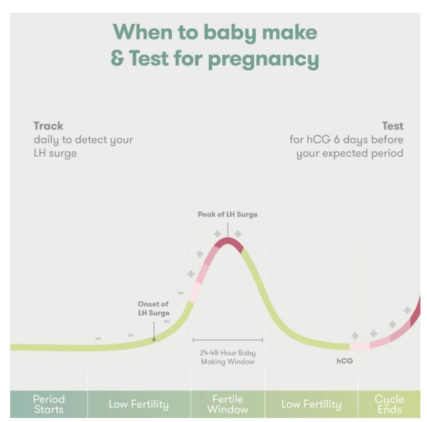 Frida Fertility Ovulation + Pregnancy Test and Track Set